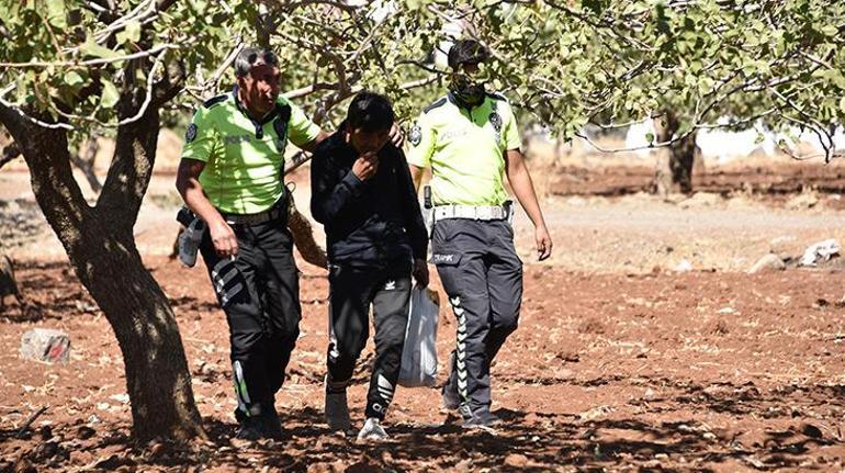 Şanlıurfada yurda yasa dışı yollarla giren 17 yabancı uyruklu yakalandı