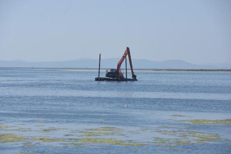 İzmirde deniz yeşile büründü