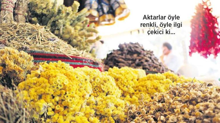 Şifa OSB kuruluyor
