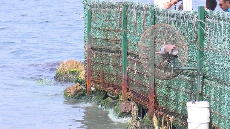 Boğaza dökülen derenin kötü kokusuna vantilatörlü çözüm