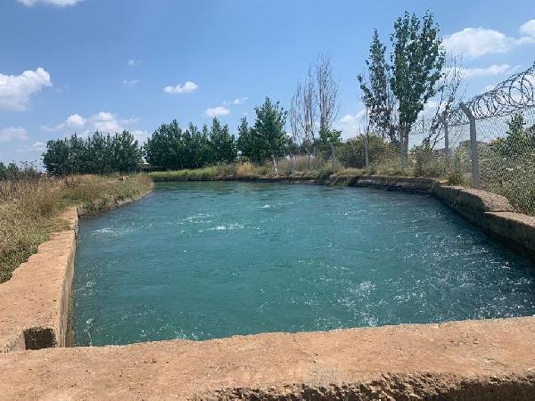 Her şeyi itiraf etti Kanalda boğulan Berat’ı, komşusu suya bırakmış