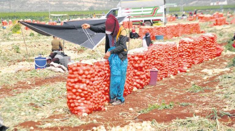 Yeşil ekonomi için işte ilk adım