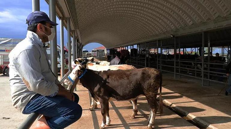 Koronavirüs Bilim Kurulunun aşı kararı öncesi flaş 3. doz Biontech açıklaması