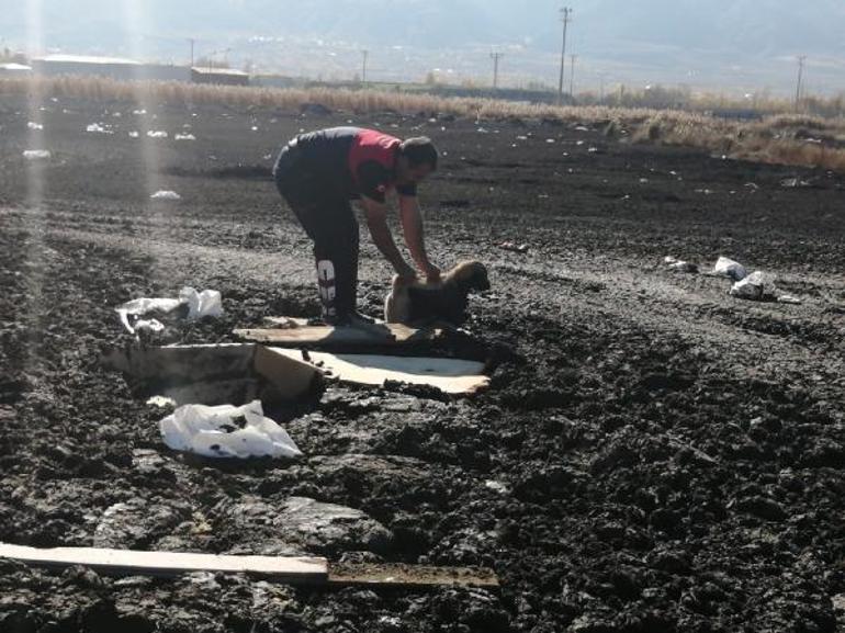 Bataklığa saplanan köpek yavrusunu itfaiye kurtardı