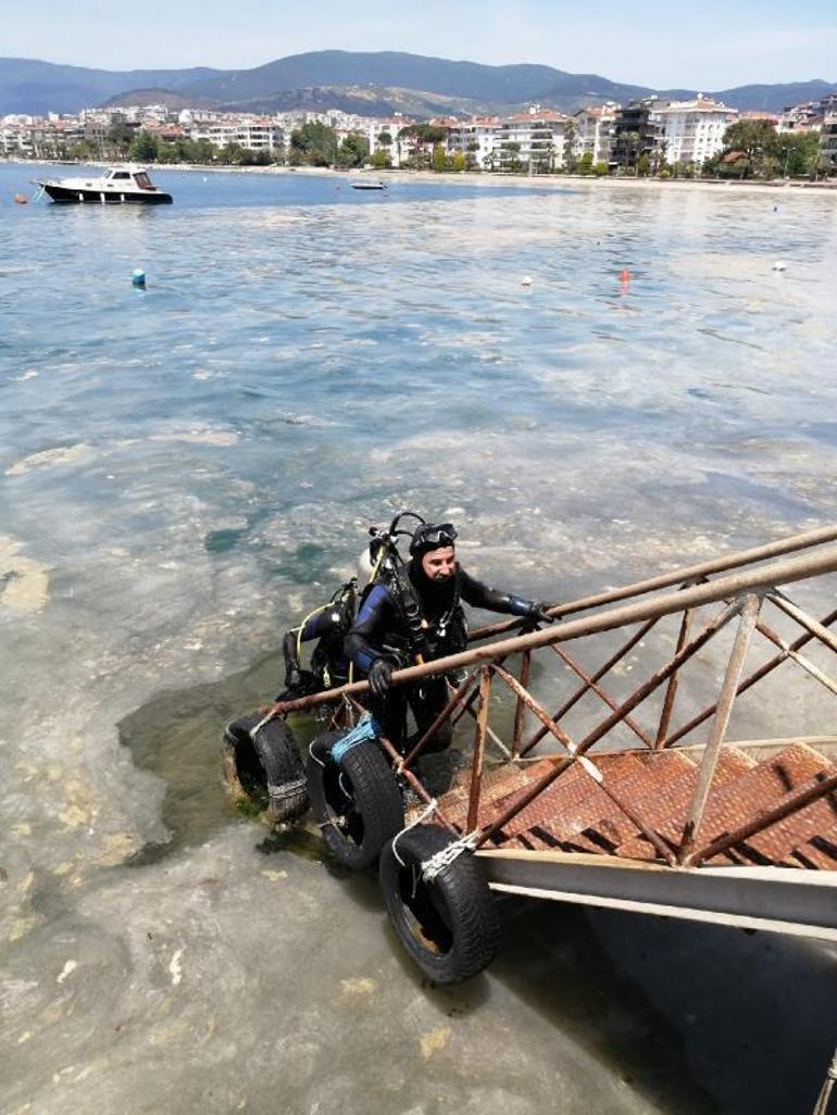 Marmara için uyarı: Bu alg çoğalması; hayra alamet değil