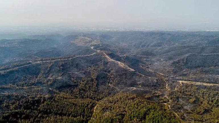 Orman yangınları için korkutan tahmin İşte Türkiyenin en riskli bölgeleri