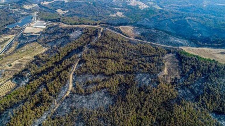 Orman yangınları için korkutan tahmin İşte Türkiyenin en riskli bölgeleri