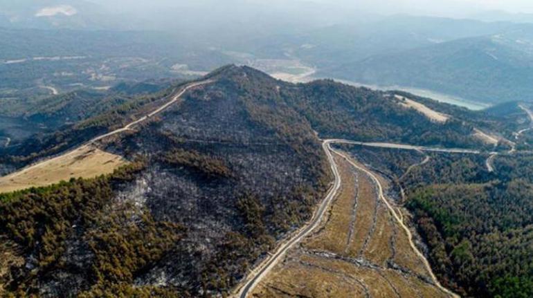 Orman yangınları için korkutan tahmin İşte Türkiyenin en riskli bölgeleri