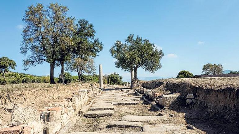 Apollon Smintheus Kutsal Alanı: Farelerin efendisi