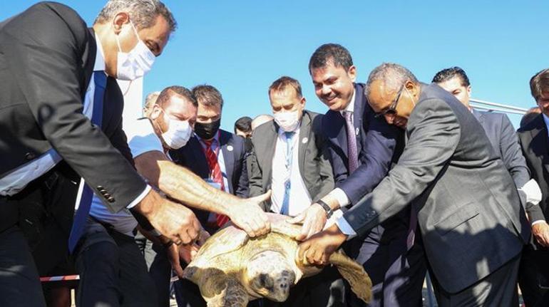 Uydu takip cihazlı 2 caretta caretta denize uğurlandı