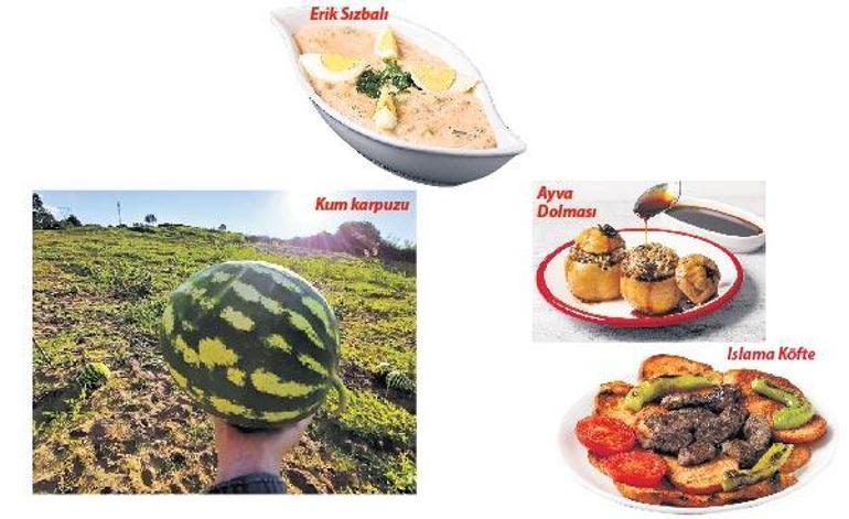 72.5 milletin sofrası bu kitapta