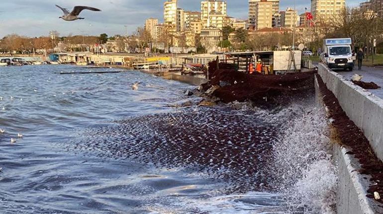 Caddebostan sahilinde sabah yürüşü yapan Emine Kaysel, \