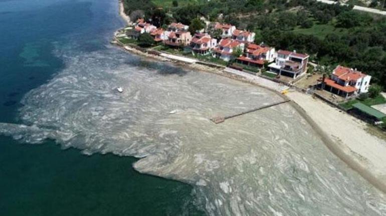 Korkutan açıklama: Marmara Denizi öldü... İstavrit, lüfer, palamut hasta