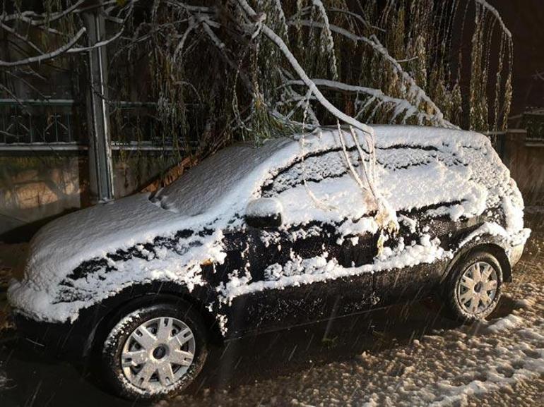 Aksaray’da etkili olan kar yağışı ağaçları devirdi