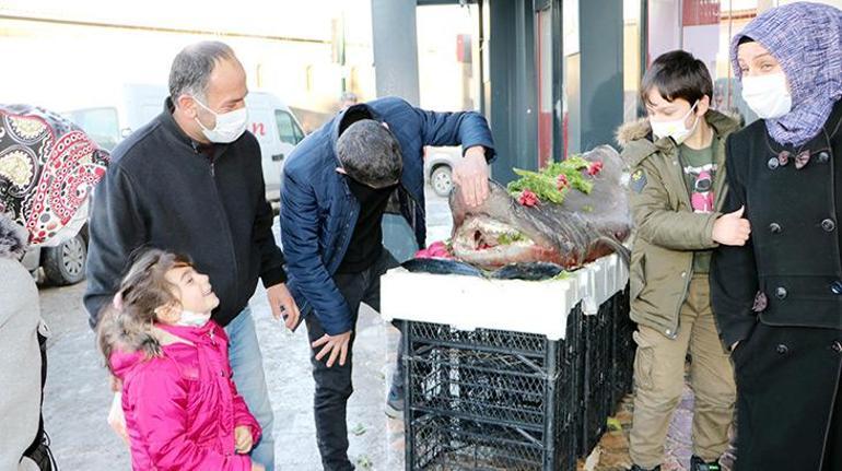 Karadenizde yakalanan köpek balığı Erzurumda sergilendi