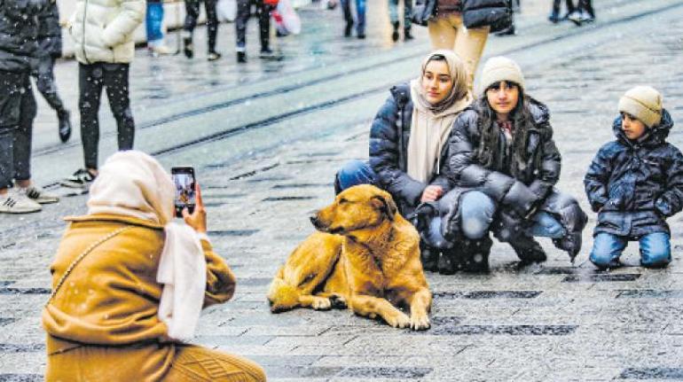 Şimdiki zamanın hikayesi