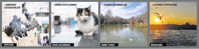 Şimdiki zamanın hikayesi