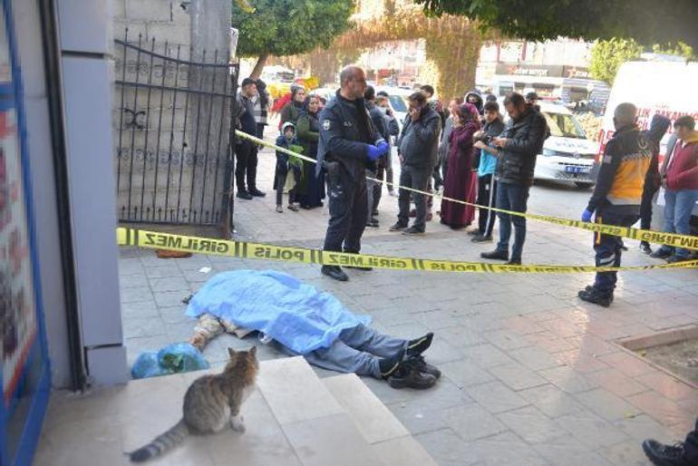 Ölüm alışverişte yakaladı Sokak kedisi başında bekledi