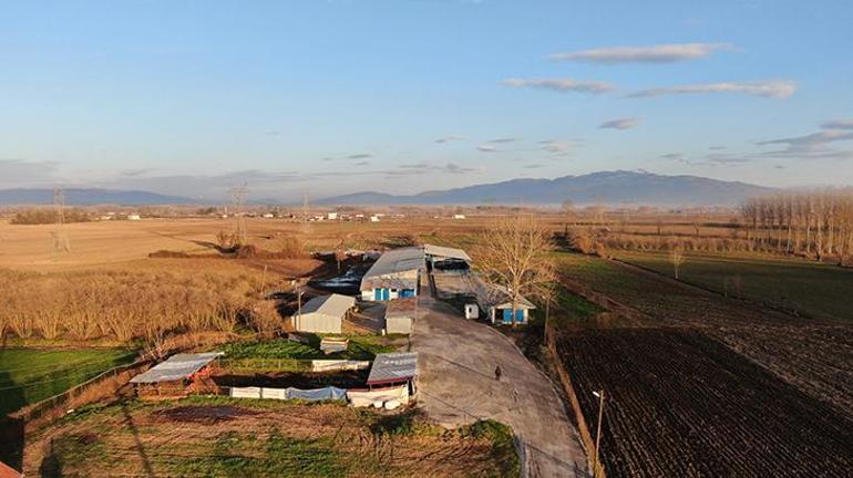 Bakanlık desteği ile yapıldı Artık Sakaryada üretilecek