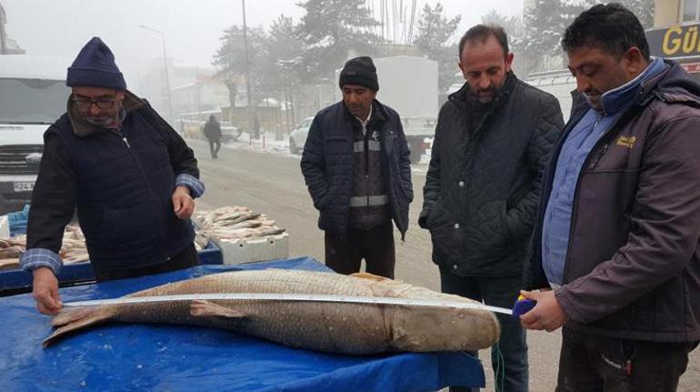 Kilosu 50 lira Görenleri şaşkına çevirdi