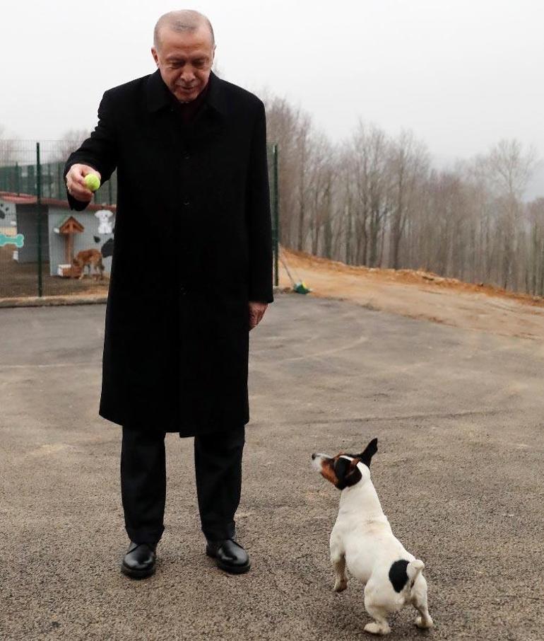 Cumhurbaşkanı Erdoğan, hayvan barınağını ziyaret etti