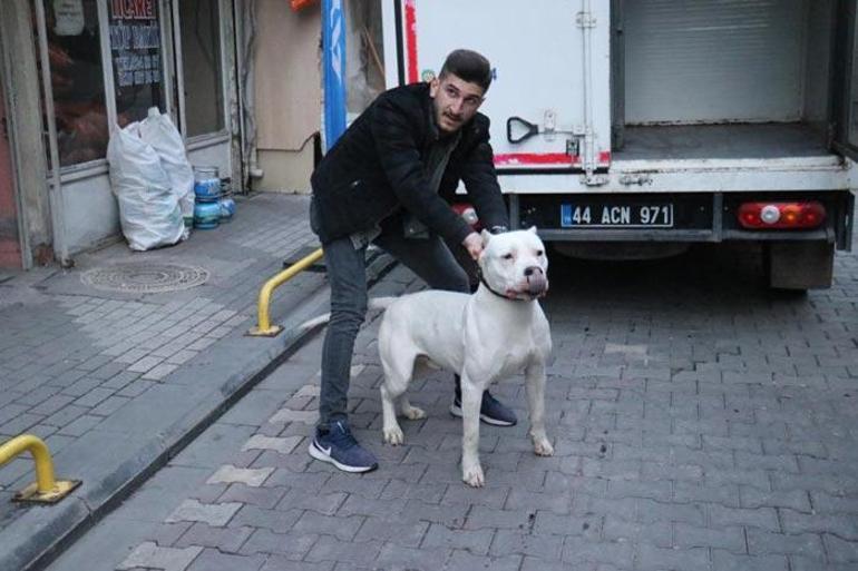 Kavga ettikleri şahsın üzerine pitbull saldılar: Yaralılar var