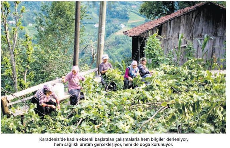 Sırtında heybe beyninde proje