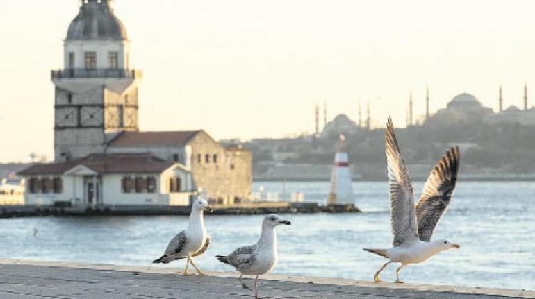 Şimdiki zamanın hikayesi