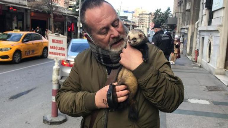 Taksimde şaşırtan anlar Tasma taktığı gelincikle gezdi