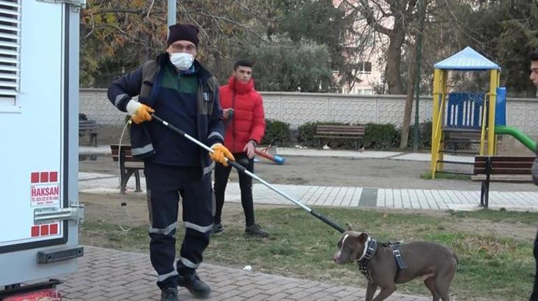 Çocuk parkına terkedilen pitbullu kemeriyle yakaladı