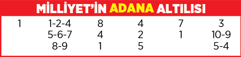 Yarış rehberi (18 Ocak 2022)