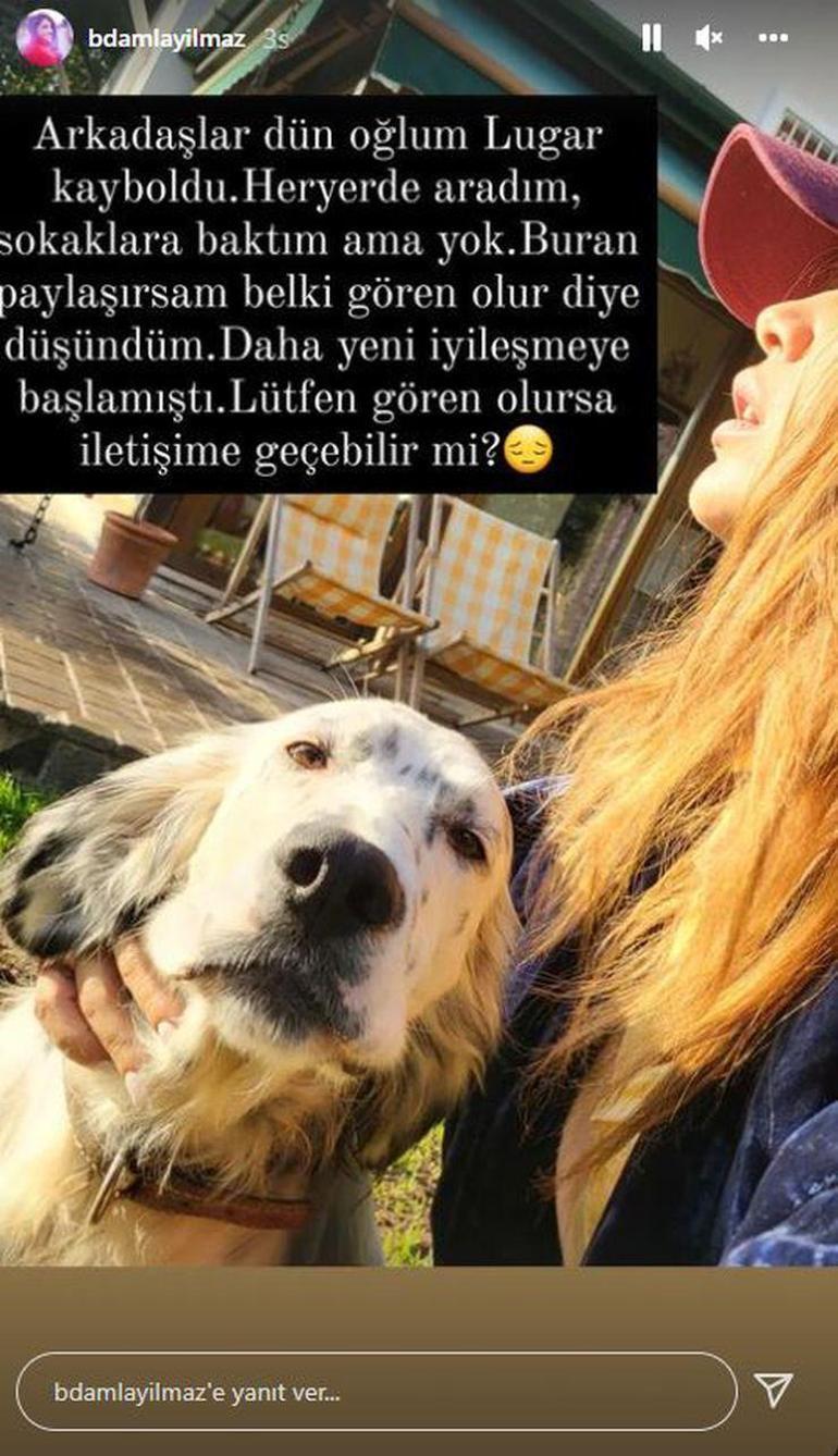 Biran Damla Yılmaz kaybolan köpeği için yardım istedi