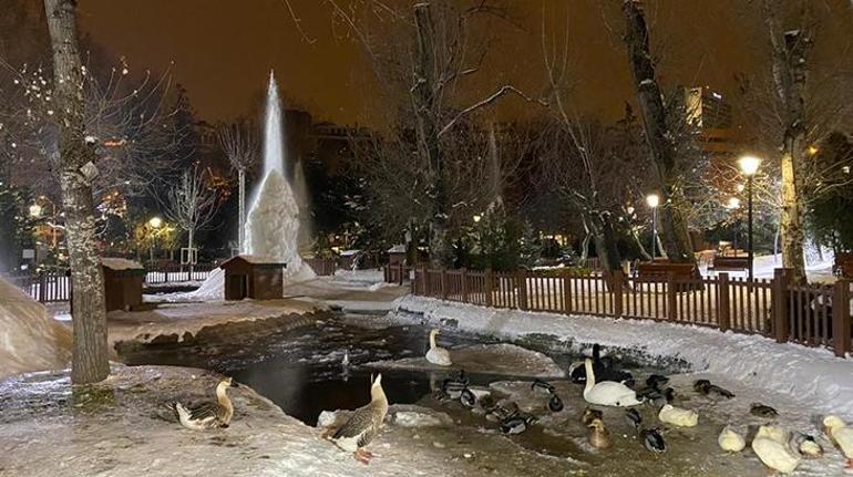 Ankarada hava sıcaklığı - 10 dereceye düştü Kuğulu Parkta sular buz tuttu