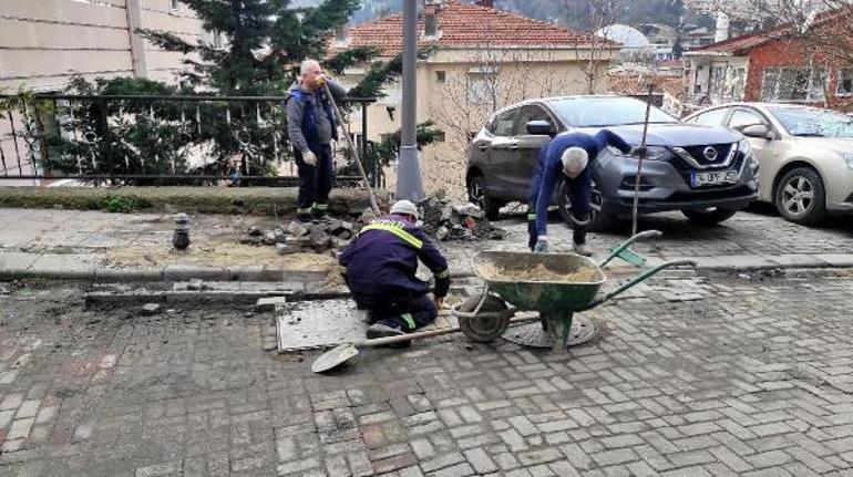 Gözyaşları tutamadı Beşiktaşta elektrik akımına kapılan köpek öldü
