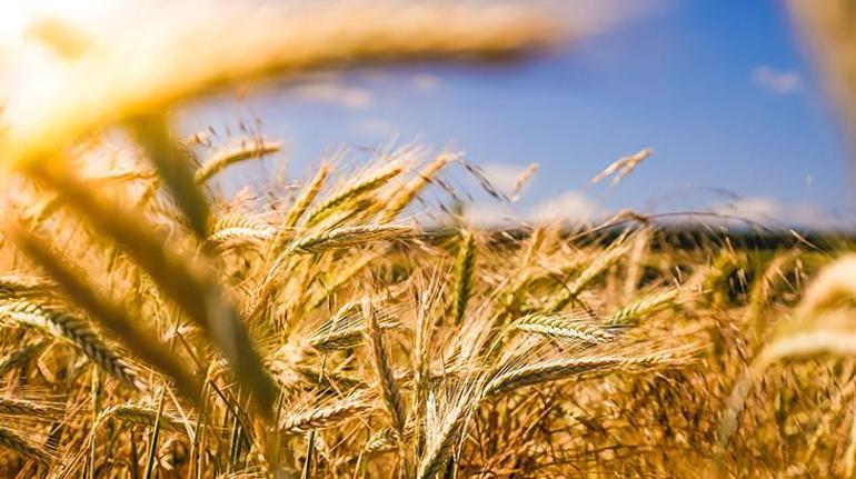 Korkutan uyarı: Resmen başladı Sadece sınırlayabiliriz