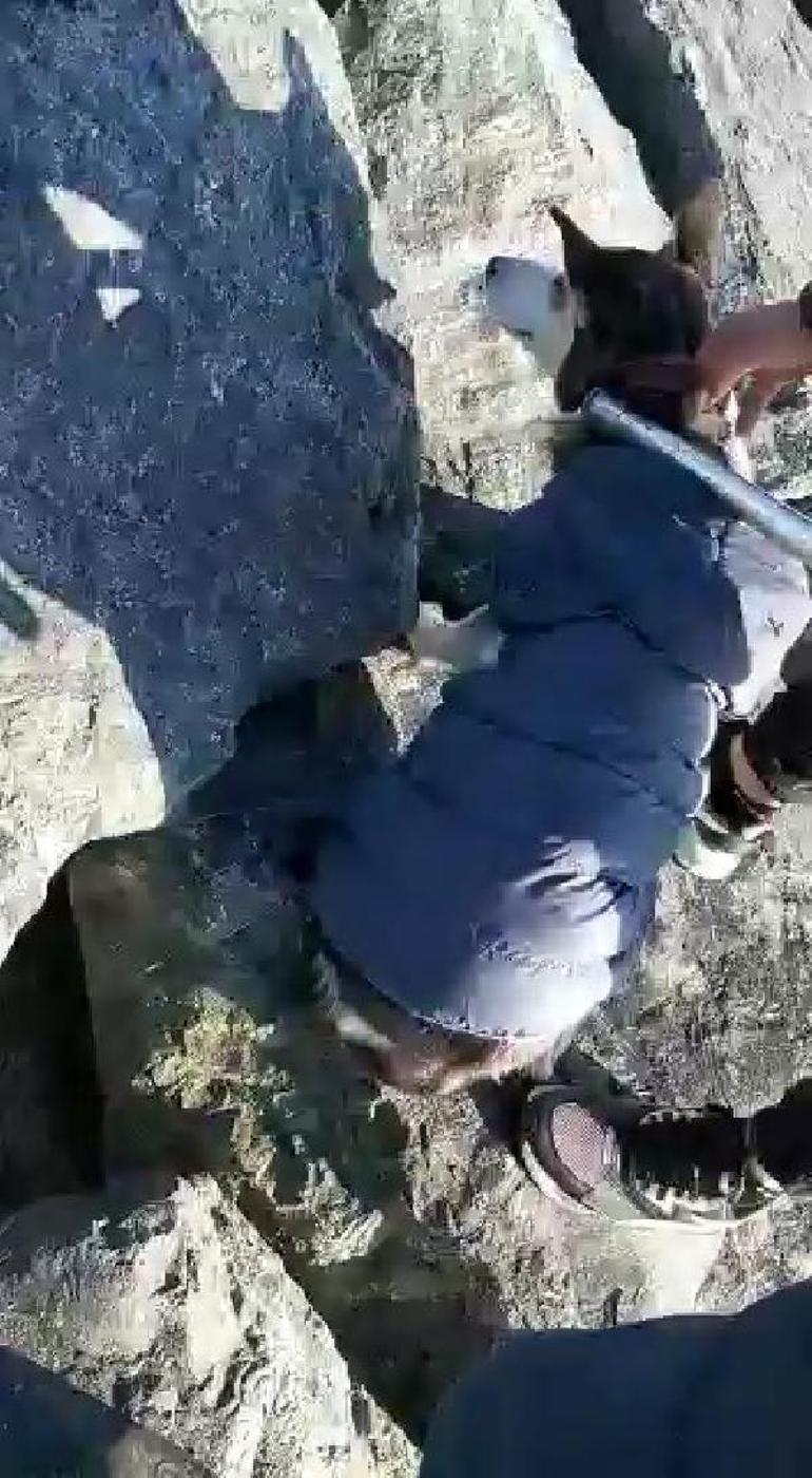 Samatyada kayalıklar arasına düşen köpek kurtarıldı