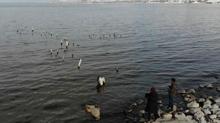 Van Gölü’nde sular çekildi 60 yıllık iskele gün yüzüne çıktı