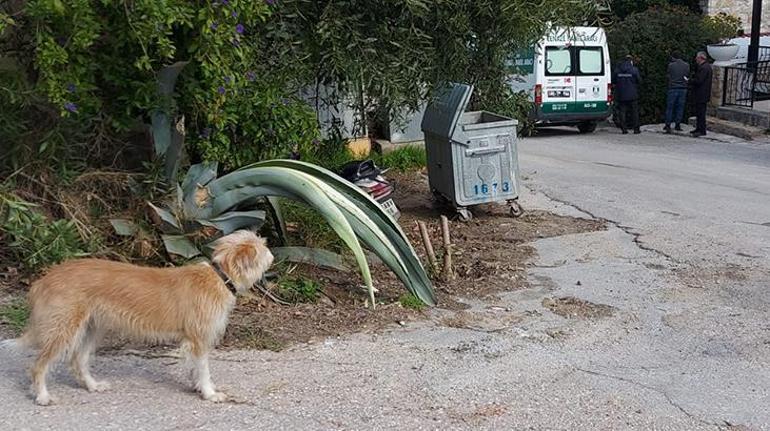 Son dakika: Akrep Nalan hayatını kaybetti Köpeği arkasından bakakaldı
