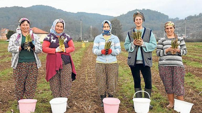İlkbaharın zarif prensesi