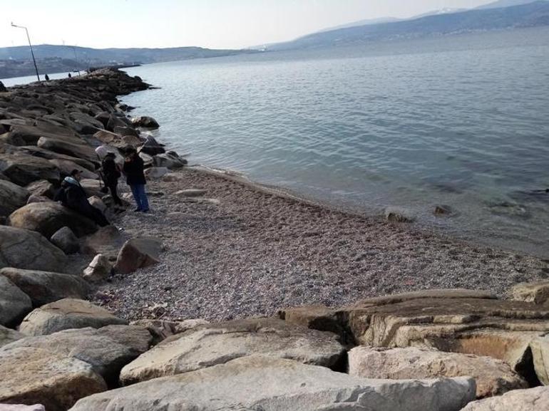 Marmara Denizindeki fırtınadan sonra oldu 2 aydır eski haline gelmedi