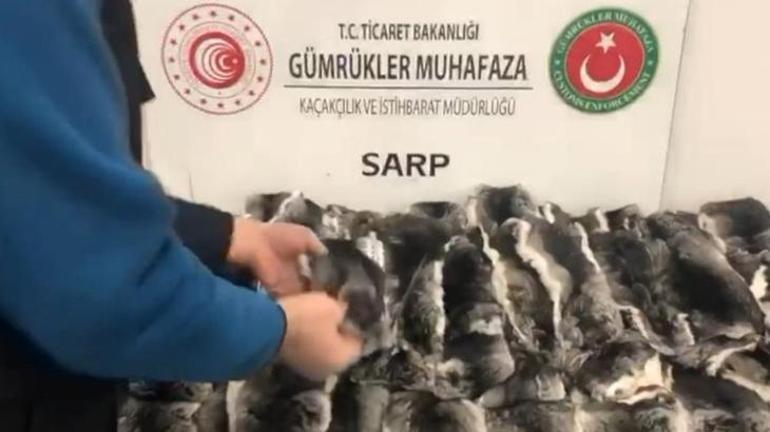 Gümrük muhafaza ekiplerinden kaçakçılara büyük darbe