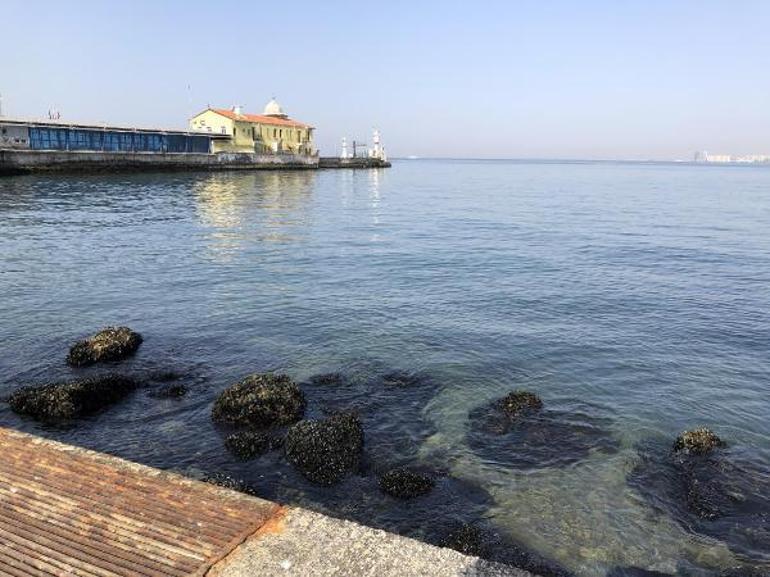 İzmirde deniz suyu seviyesi azaldı, Pasaport İskelesi kapatıldı