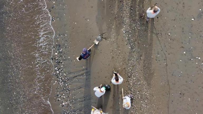 Akdeniz’de kıyılar ölü zehirli denizanalarından temizleniyor