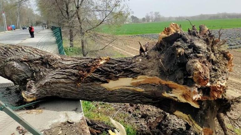 Son dakika... AKOMdan İstanbula fırtına uyarısı Akşam saatlerine dikkat