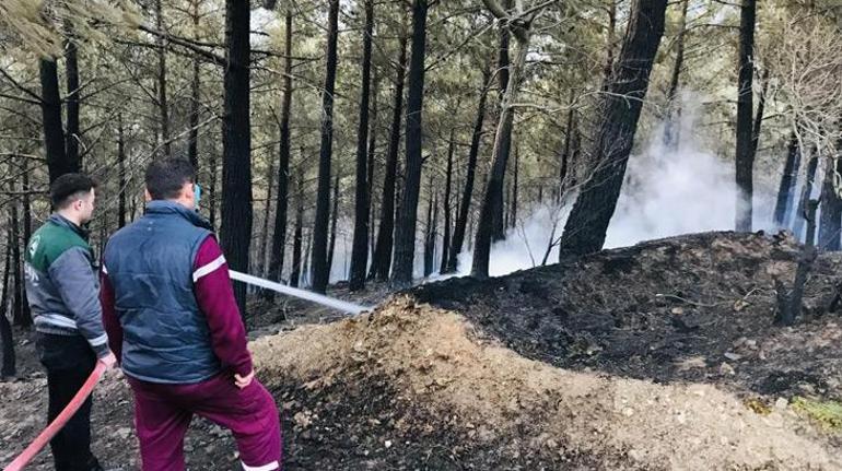 Çanakkale ve Bursadaki orman yangınları söndürüldü