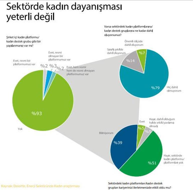 Enerjide kadın hareketi başlatmak çok mu zor