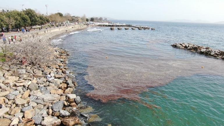 Caddebostan sahilinde deniz çekildi Yer yer kirlilik oluştu