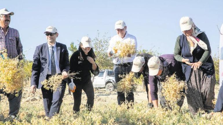 Tarımı öldürürsek yaşamı bitiririz