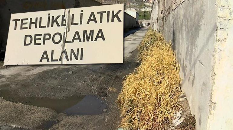 2 köpek öldü, bitkiler sarardı İstanbulda kimyasal sızıntı