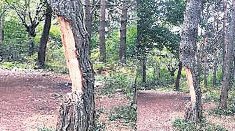 Tarımda ve üretimde çıkış yolu